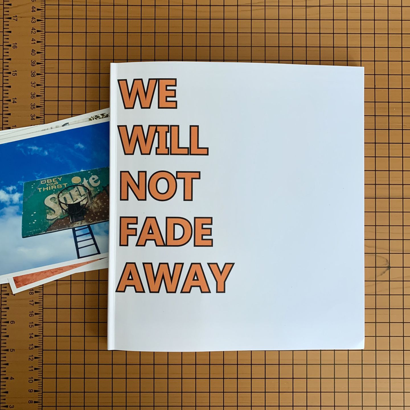 We Will Not Fade Away
